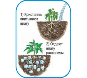 Гідрогель