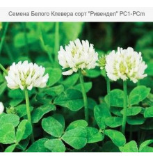 МікроКонюшина біла Рівендел Rivendel 1кг