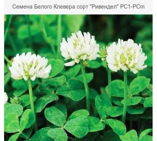 МікроКонюшина біла Рівендел Rivendel 1кг