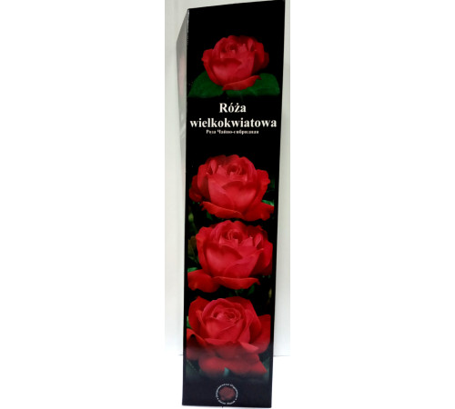 Рози чайно-гібридна Червона 57 1шт Польща