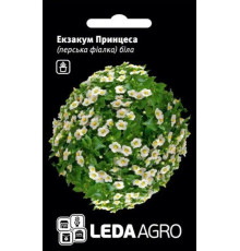 ТМ LEDAAGRO Азаріна повзуча Розова 4шт