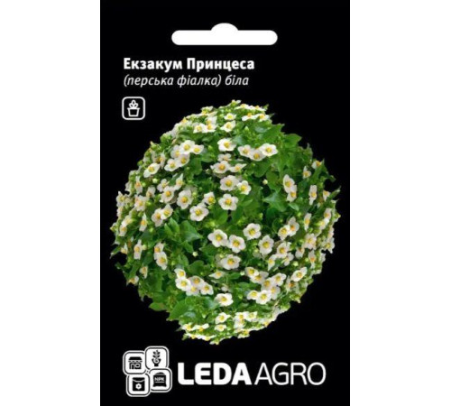 ТМ LEDAAGRO Азаріна повзуча Розова 4шт