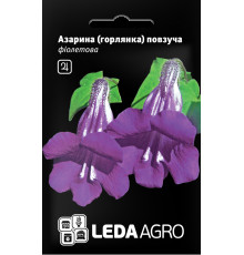 ТМ LEDAAGRO Азаріна повзуча Фіолетова 4шт