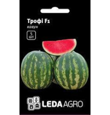ТМ LEDAAGRO Кавун Трофі F1 5шт