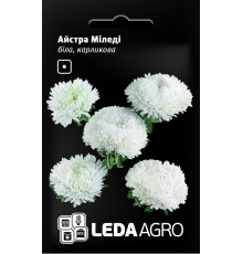 ТМ LEDAAGRO Астра карликова Міледі біла 0,2 г