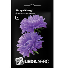 ТМ LEDAAGRO Астра карликова Міледі бузкова 0,2 г