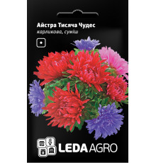 ТМ LEDAAGRO Астра карликова Тисяча чудес суміш 0,2 г