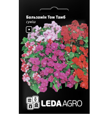 ТМ LEDAAGRO Бальзамін махровий Том Тамб 0,5 г