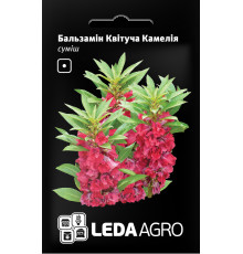 ТМ LEDAAGRO Бальзамін Квітуча Камелія 0,5 г