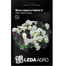 ТМ LEDAAGRO Віола Коріна F1 біло-чорна 10шт