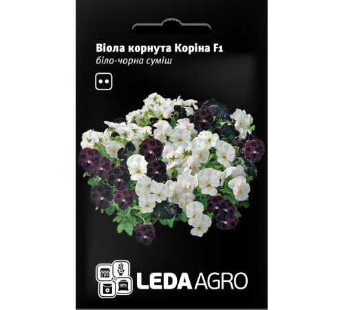 ТМ LEDAAGRO Віола Коріна F1 біло-чорна 10шт