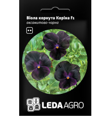 ТМ LEDAAGRO Віола Коріна F1 бархатно-чорна 10шт