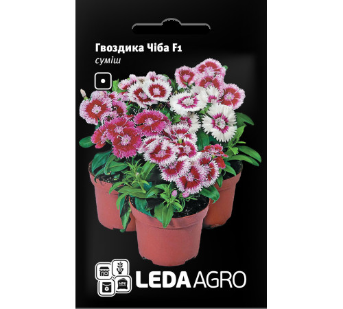 ТМ LEDAAGRO Гвоздика китайська Чіба F1 10шт