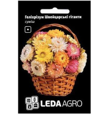 ТМ LEDAAGRO Геліхрізум Веселка суміш 0,2 г