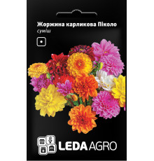 ТМ LEDAAGRO Жоржина карликова Пікколо 0,2 г