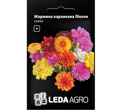 ТМ LEDAAGRO Жоржина карликова Пікколо 0,2 г