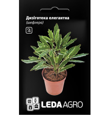 ТМ LEDAAGRO Дізіготека (шеффлера) Елегантна 5шт
