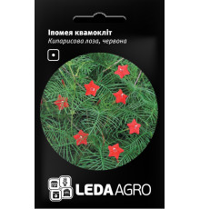 ТМ LEDAAGRO Іпомея квамокліт Кіпарисова лоза 0,2 г