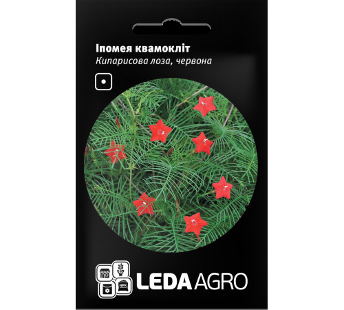 ТМ LEDAAGRO Іпомея квамокліт Кіпарисова лоза 0,2 г