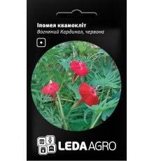 ТМ LEDAAGRO Іпомея квамокліт Вогняний кардинал 0,5 г