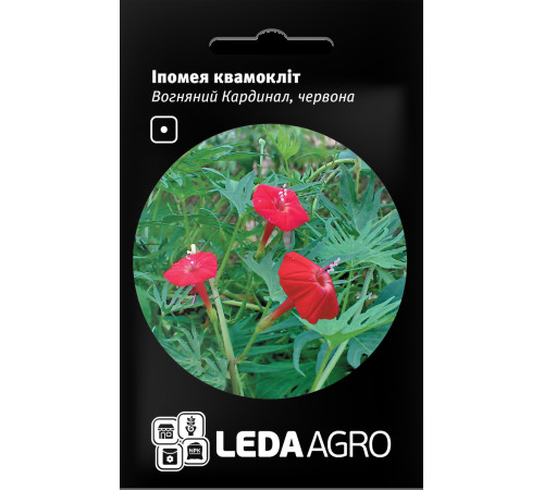 ТМ LEDAAGRO Іпомея квамокліт Вогняний кардинал 0,5 г