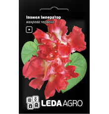 ТМ LEDAAGRO Іпомея махрова Імператор 0,2 г