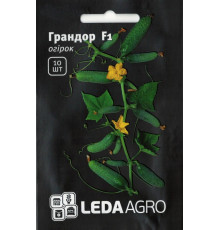 ТМ LEDAAGRO Огірок Арктика F1 10шт
