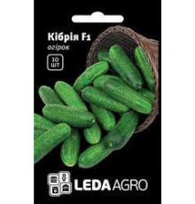 ТМ LEDAAGRO Огірок Кібрія F1 10шт