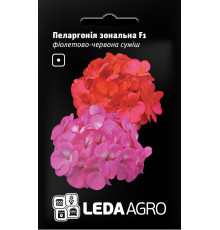 ТМ LEDAAGRO Пеларгонія Зональна F1 фіолетово-червона 5шт
