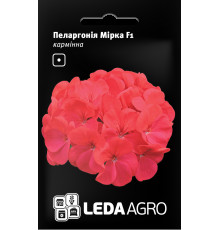 ТМ LEDAAGRO Пеларгонія Мирка F1 5шт