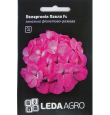 ТМ LEDAAGRO Пеларгонія Павла F1 фіолетово-рожева суміш 5шт
