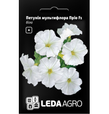 ТМ LEDAAGRO Петунія мультифлора Пріо F1 біла 0,01 г