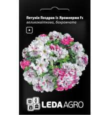 ТМ LEDAAGRO Петунія Поздоровлення з Яромнерже F1 10шт
