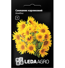 ТМ LEDAAGRO Соняшник карликовий Бамбіно 0,5 г