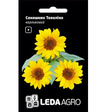 ТМ LEDAAGRO Соняшник махровий Плюшевий ведмедик 1г