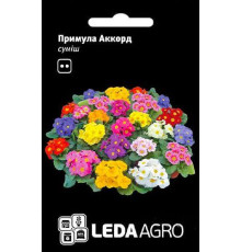 ТМ LEDAAGRO Примула Акорд F1 помаранчева 10шт