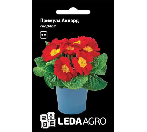 ТМ LEDAAGRO Примула Аккорд F1 скарлет 10шт