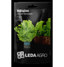 ТМ LEDAAGRO Салат батавія Афіціон 30шт