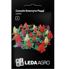 ТМ LEDAAGRO Сальвія блискуча Редді суміш 10шт