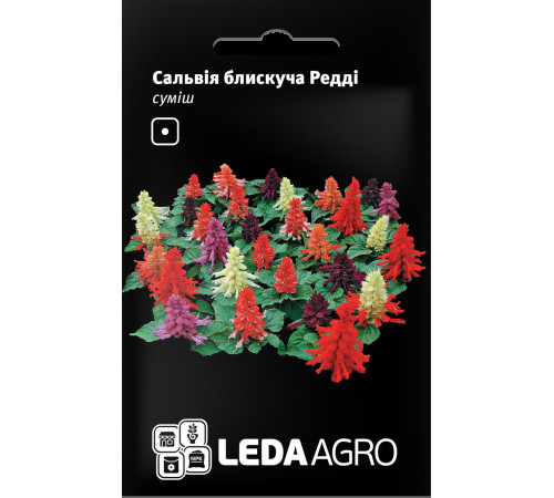 ТМ LEDAAGRO Сальвія блискуча Редді суміш 10шт