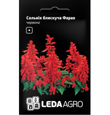 ТМ LEDAAGRO Сальвія блискуча Фарао червона 0,05 г