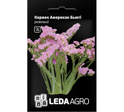 ТМ LEDAAGRO Статиця (кермек) Американ Б'юті рожева 0,15 г