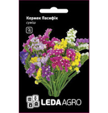 ТМ LEDAAGRO Статиця (кермек) Пасифік 5г