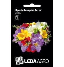 ТМ LEDAAGRO Флокс друмонда Зірковий вогник 0,2 г