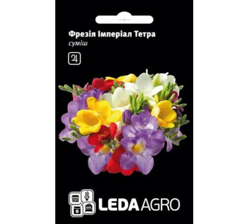 ТМ LEDAAGRO Флокс друмонда Зірковий вогник 0,2 г