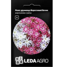 ТМ LEDAAGRO Флокс друмонду Мерехтливий вогник 0,2г