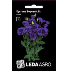 ТМ LEDAAGRO Еустома Бореаліс F1 синя 5шт
