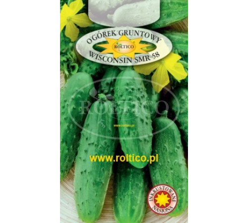 TM ROLTICO Огірок Wisconsin SMR 58 (Вісконсін) 5г Польща