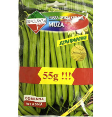 TM ROLTICO Фасоль спаржева Супер Нано (Встіга) 30г Польща