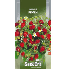 ТМ SeedEra Суниця Регіна 0,05 г